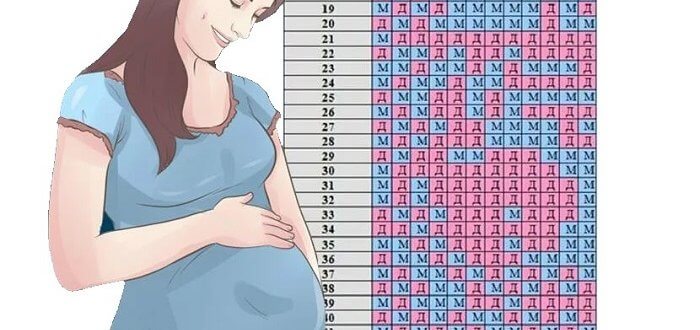 Как узнать точную дату зачатия?
