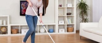 Как сделать уборку квартиры: базовые рекомендации
